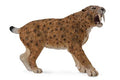 Figura Smilodon - (XL)