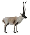 Figuur Tibetaanse Antilope – Chiru - (L)