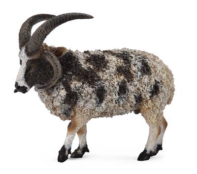 Collecta La ferme (L): MOUTON JACOB 8.4x7.6cm
