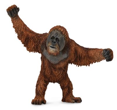 Collecta Animaux sauvages (L): ORANG-OUTANG 10.7x10cm