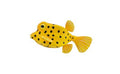 Figur Poisson-Coffre Jaune - (S)