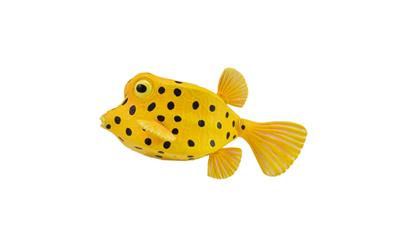 Collecta Animaux marins (S): POISSON COFFRE JAUNE 5.7x3.1cm