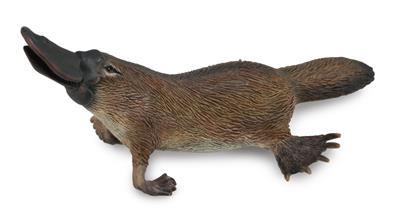Collecta Animaux sauvages (M): ORNITHORYNQUE 9x4cm