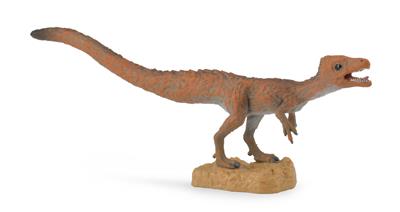 Sciurumimus