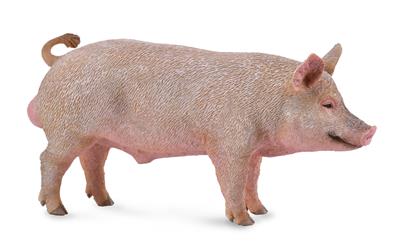 Collecta La ferme (M): SANGLIER 10.7x5.2cm