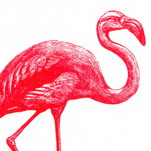 Cartolina fenicottero rosa