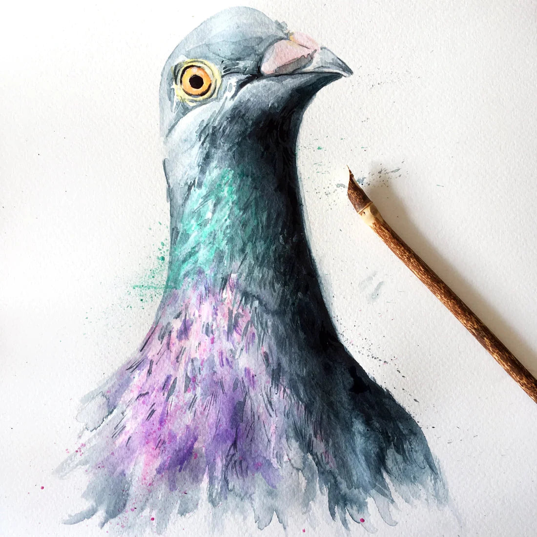 Carte de Vœux Aquarelle Pigeon