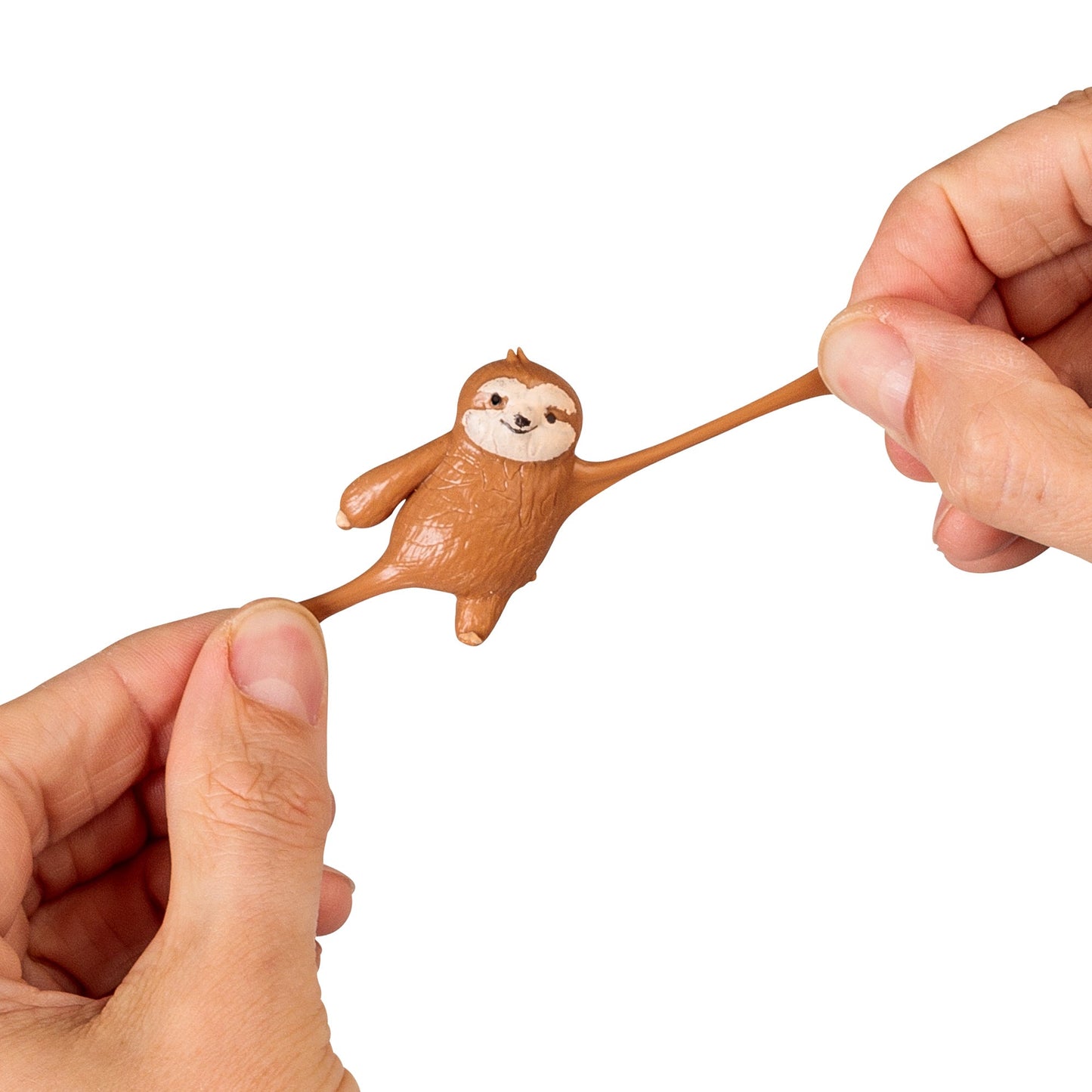 Paresseux extensible et souche