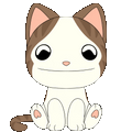 Peluche Popcat – 22,9 cm