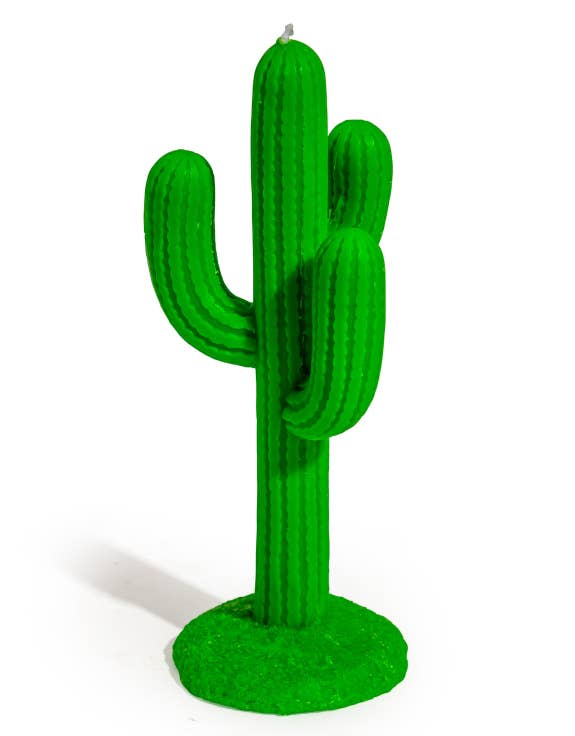 Vela de cactus verde