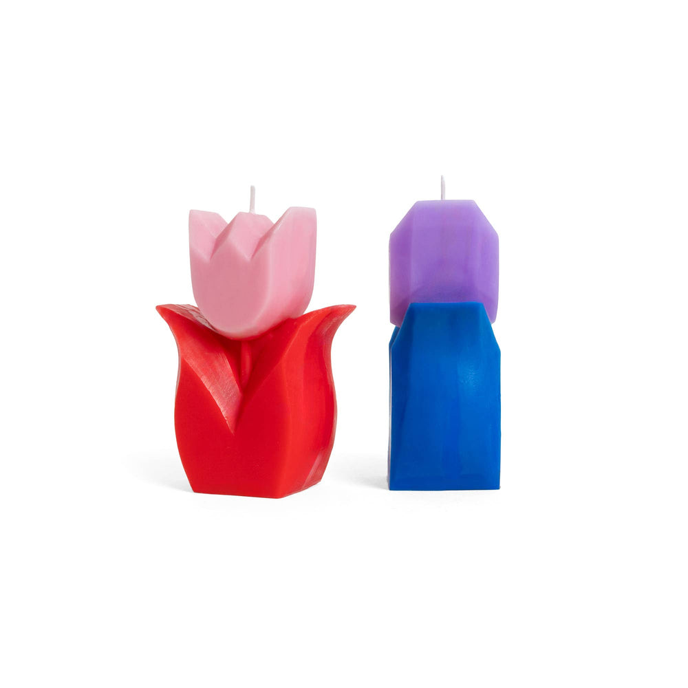 Vela de tulipán rojo