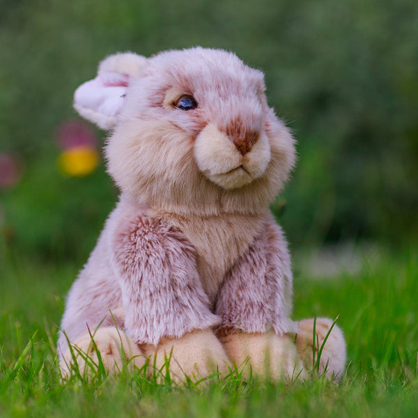 ANIMIGOS MONDE DE LA NATURE LAPIN EUROPÉEN