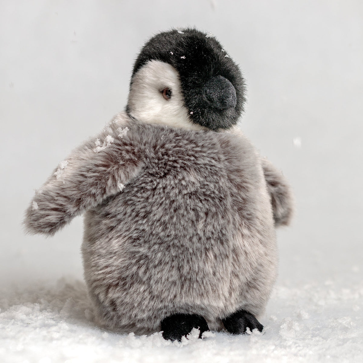 Pinguino imperatore
