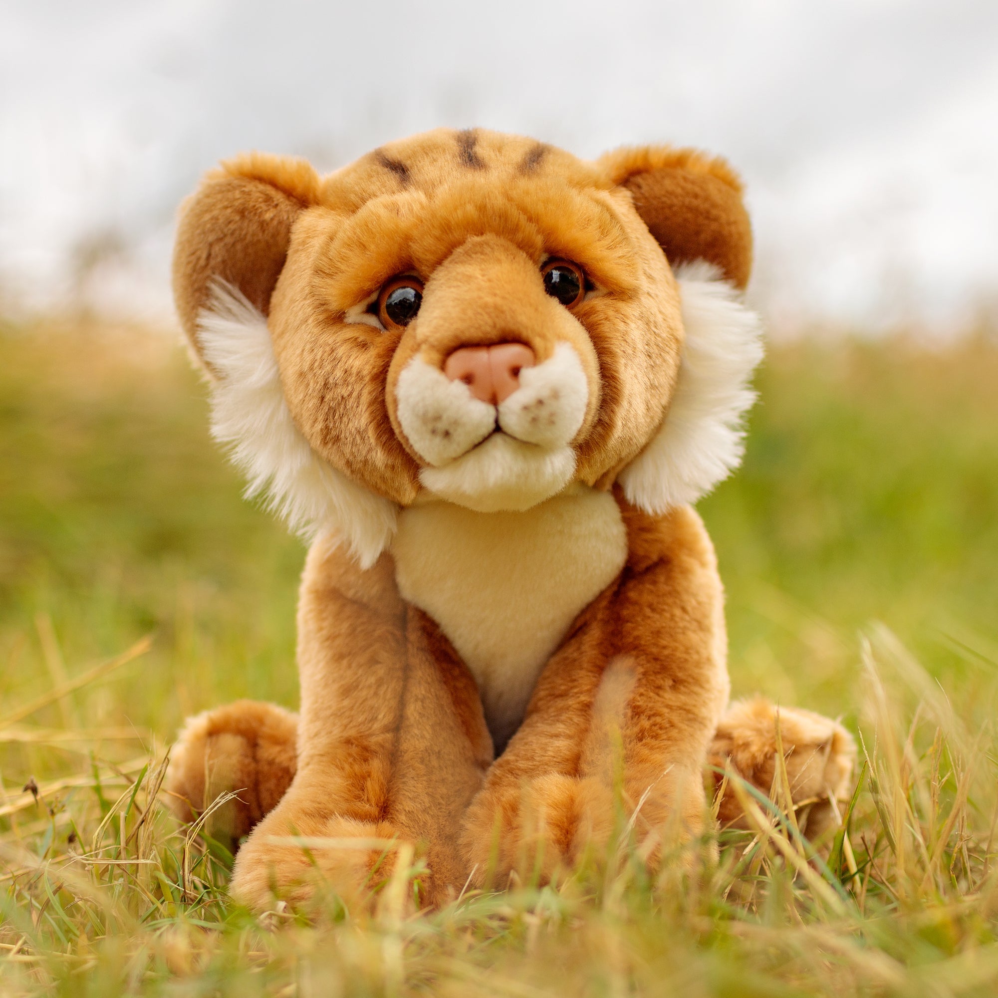ANIMIGOS LE MONDE DE LA NATURE LIONCEAU