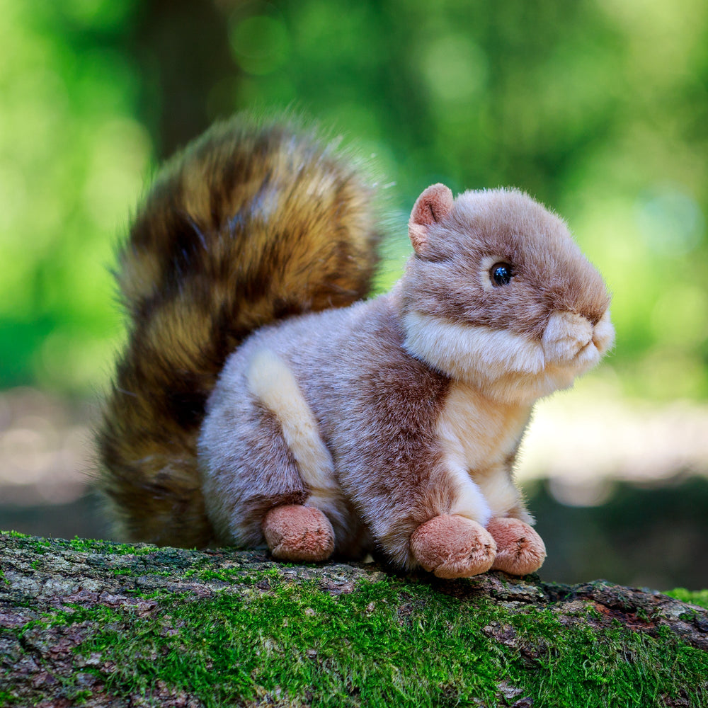 Peluche Animigos Écureuil Gris