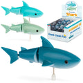 Requin à Remontoir