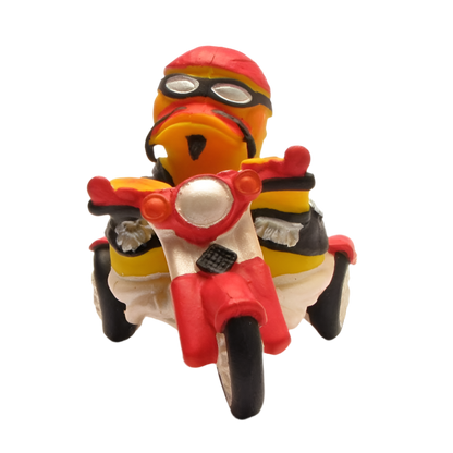 Canard Biker