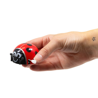 COCCINELLE À REMONTOIR