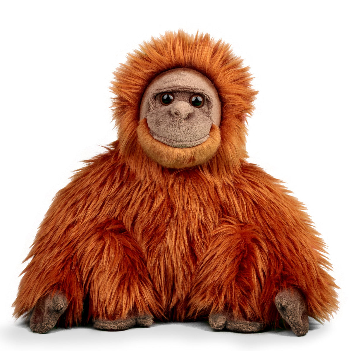 Orangutan