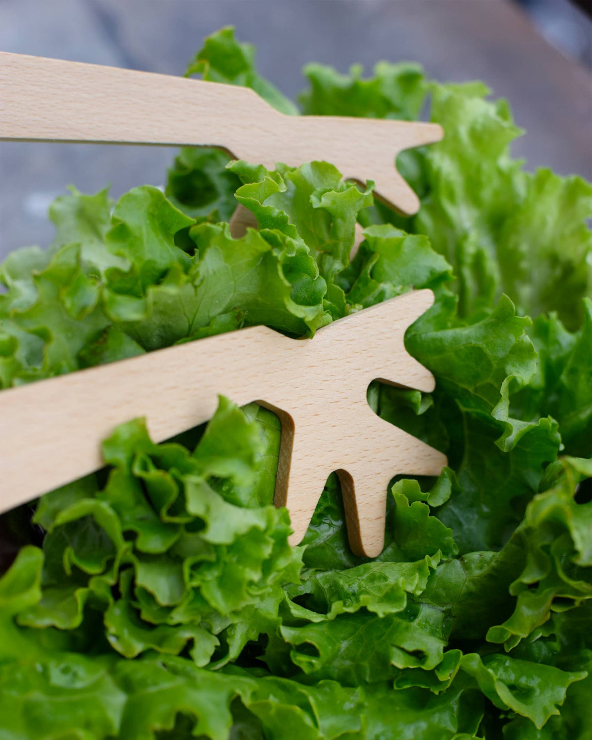 Couverts à salade - Du Bout Des Branches