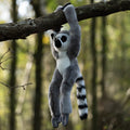 Peluche Animigos Lémur Catta Suspendu