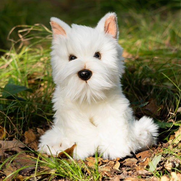 ANIMIGOS MONDE DE LA NATURE CHIEN WESTIE