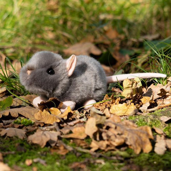 ANIMIGOS MONDE DE LA NATURE RAT CRIANT