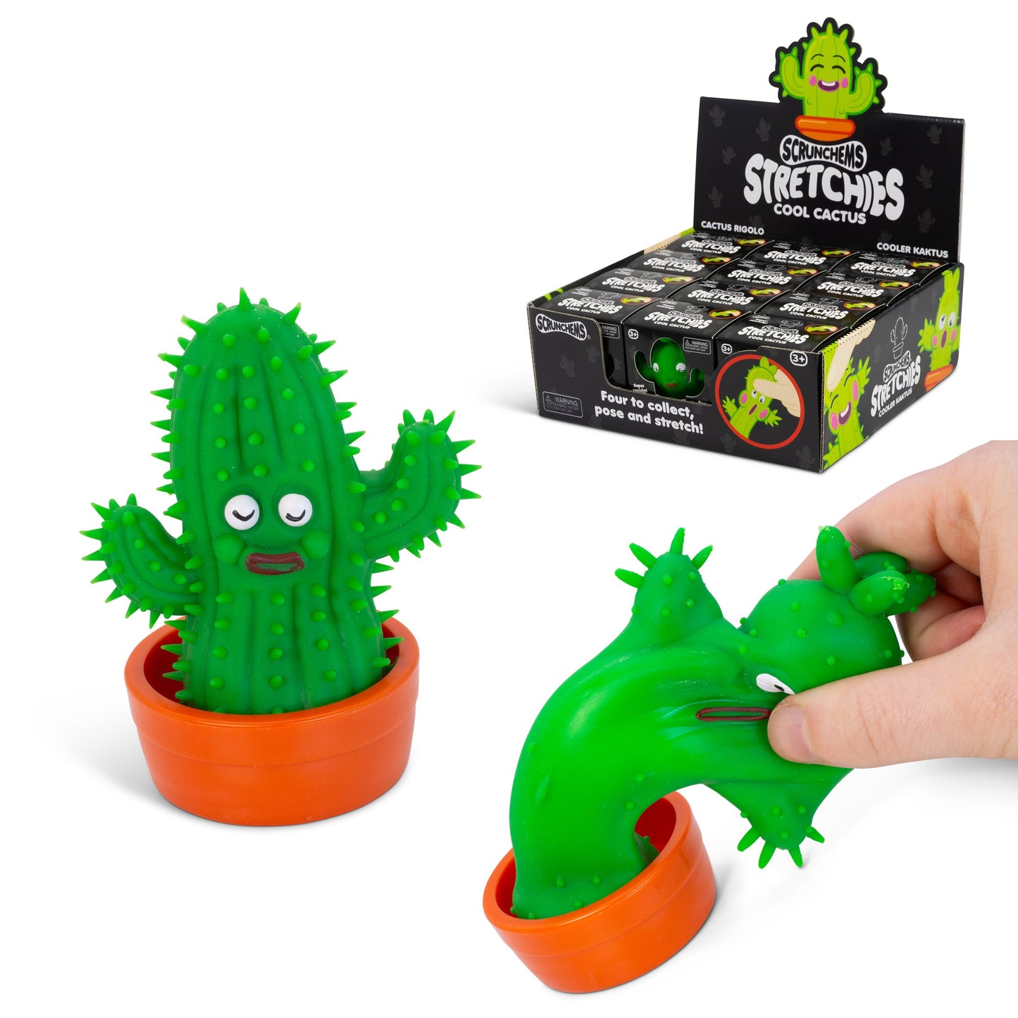 SCRUNCHEMS ÉTIRE UN CACTUS COOL