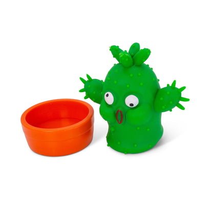 SCRUNCHEMS ÉTIRE UN CACTUS COOL