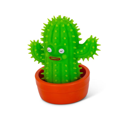 SCRUNCHEMS ÉTIRE UN CACTUS COOL