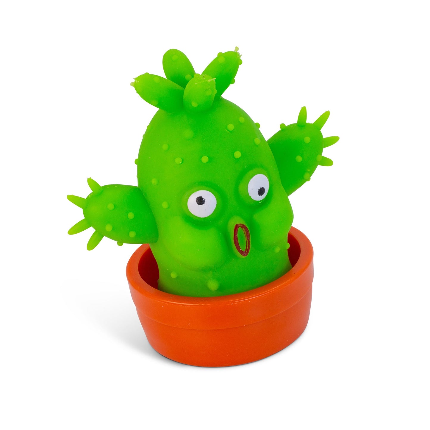 SCRUNCHEMS ÉTIRE UN CACTUS COOL