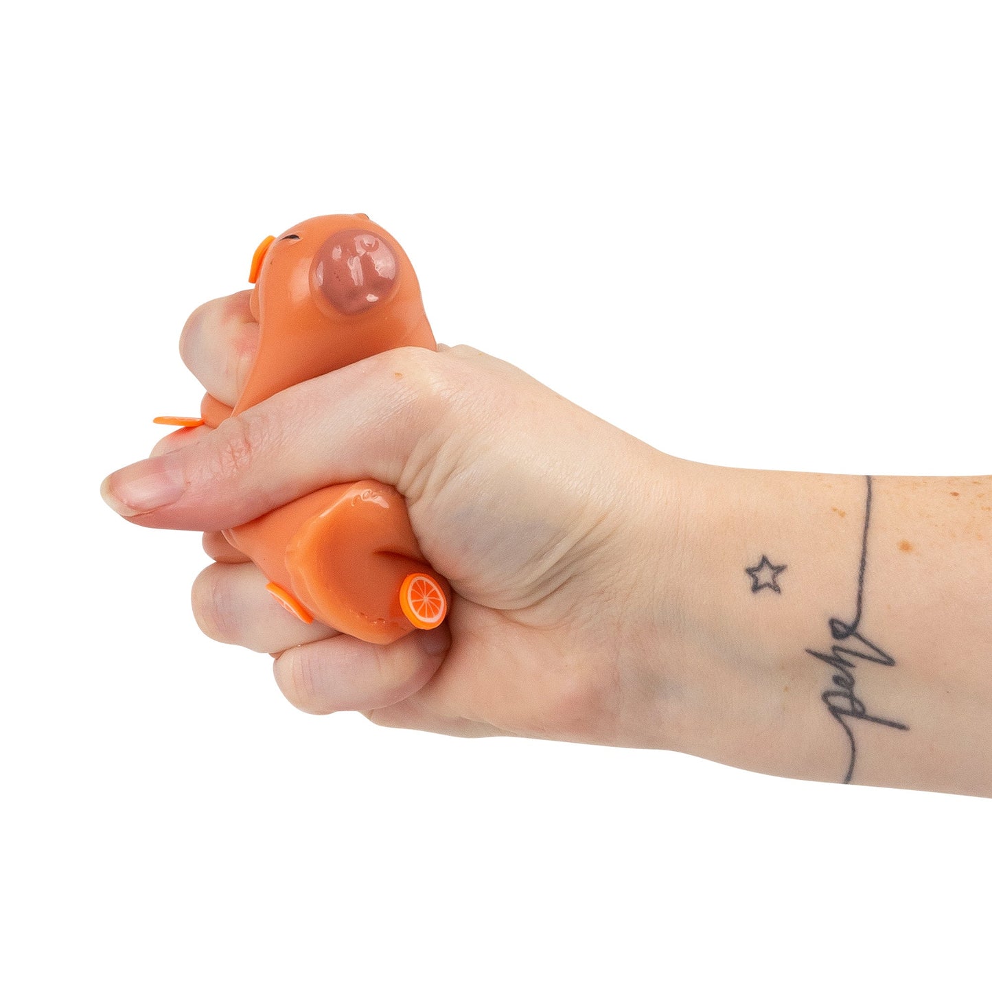 SCRUNCHEMS COLLANT SQUISHY CAPYBARA