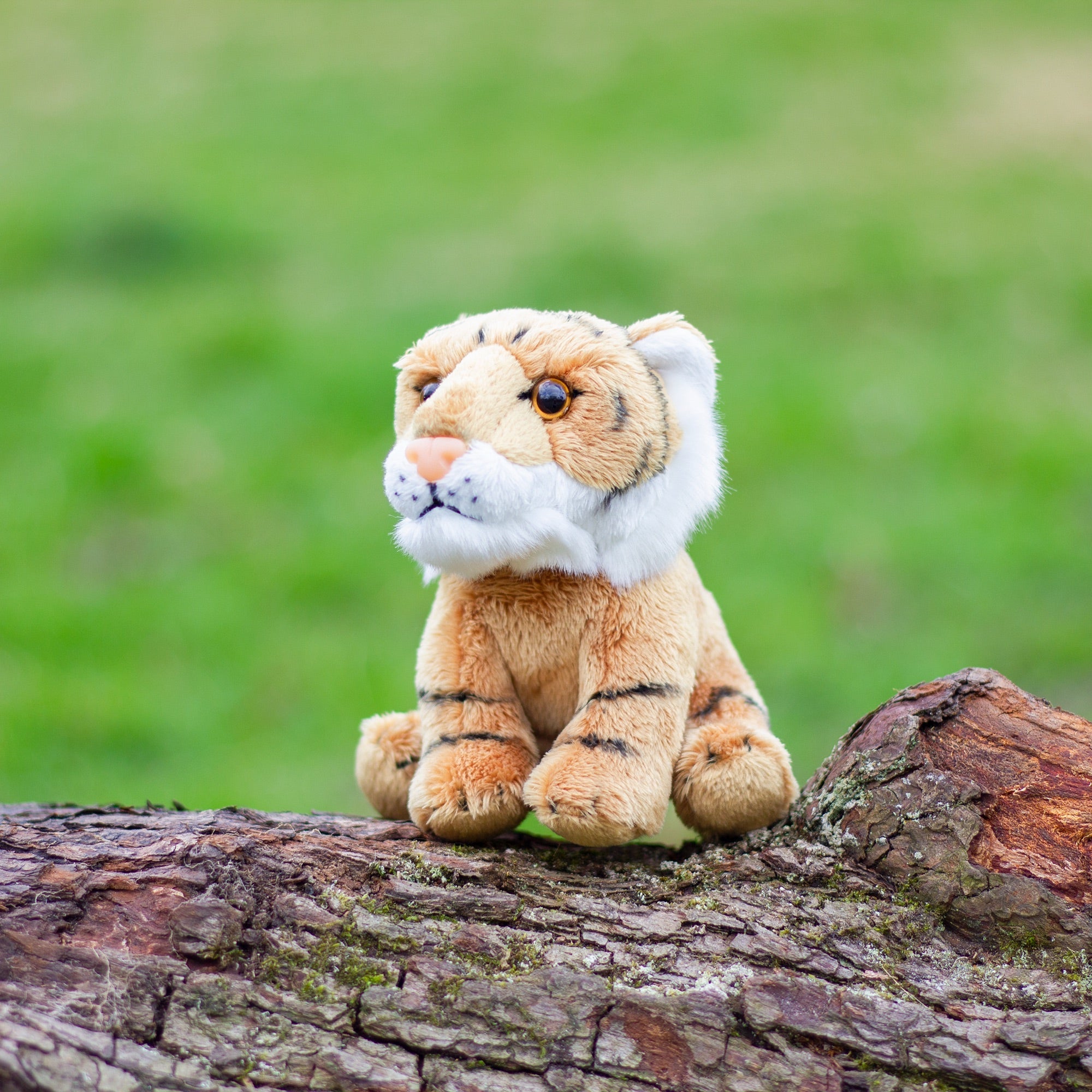ANIMIGOS LE MONDE DE LA NATURE MINI TIGRE