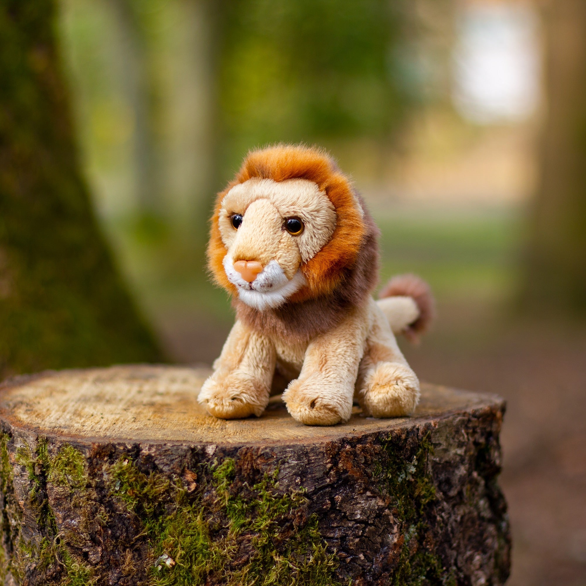ANIMIGOS LE MONDE DE LA NATURE MINI LION
