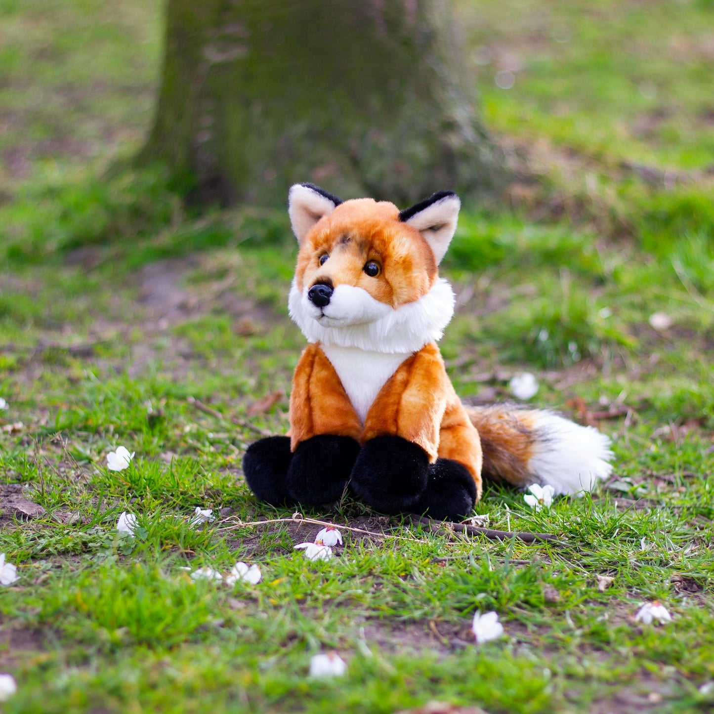 ANIMIGOS MONDE DE LA NATURE RENARD