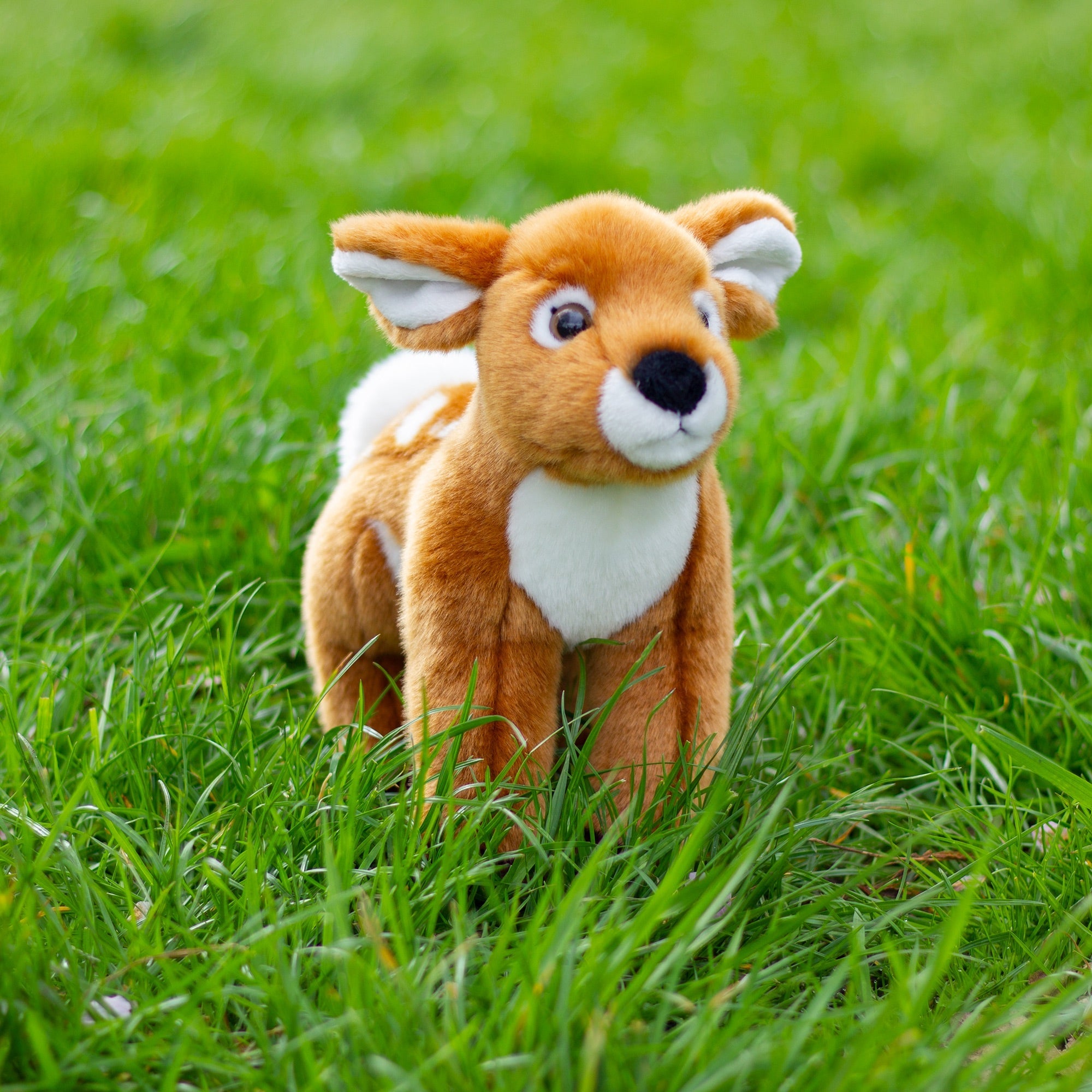 ANIMIGOS MONDE DE LA NATURE CERF