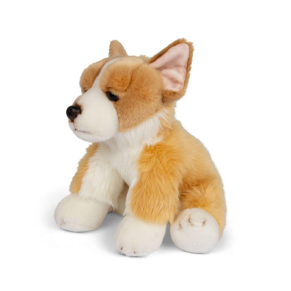 ANIMIGOS WORLD OF NATURE 30CM CORGI