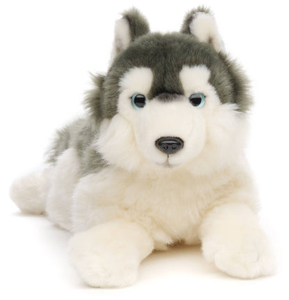 Peluche Husky gris, couché Uni Toys