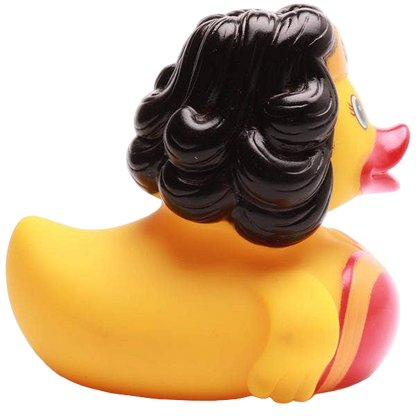 Canard WonderCanard
