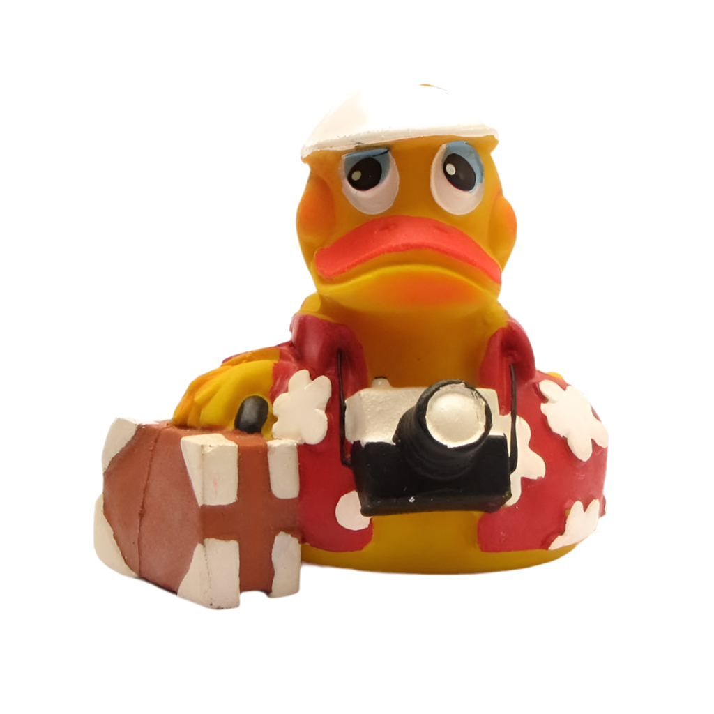 Pato de vacaciones