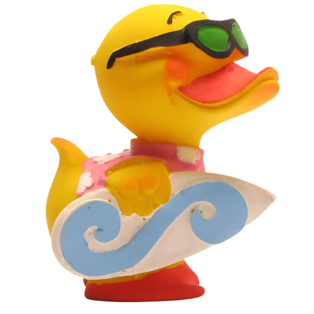 Canard Surfeur