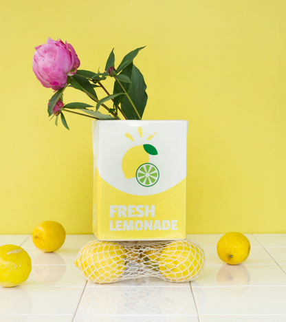 Vase brique de limonade