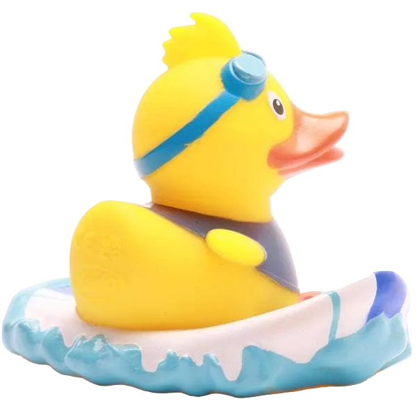 Canard Surfeur