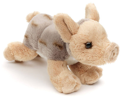 Peluche cinghiale