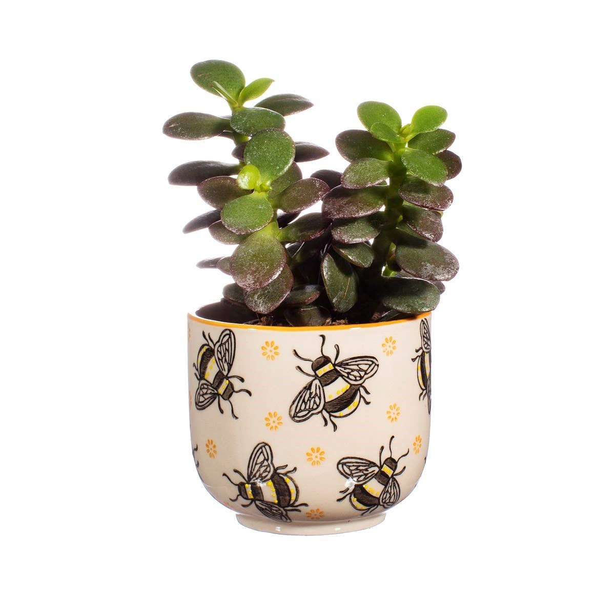 Pot de Fleurs Abeilles "Busy Bees"