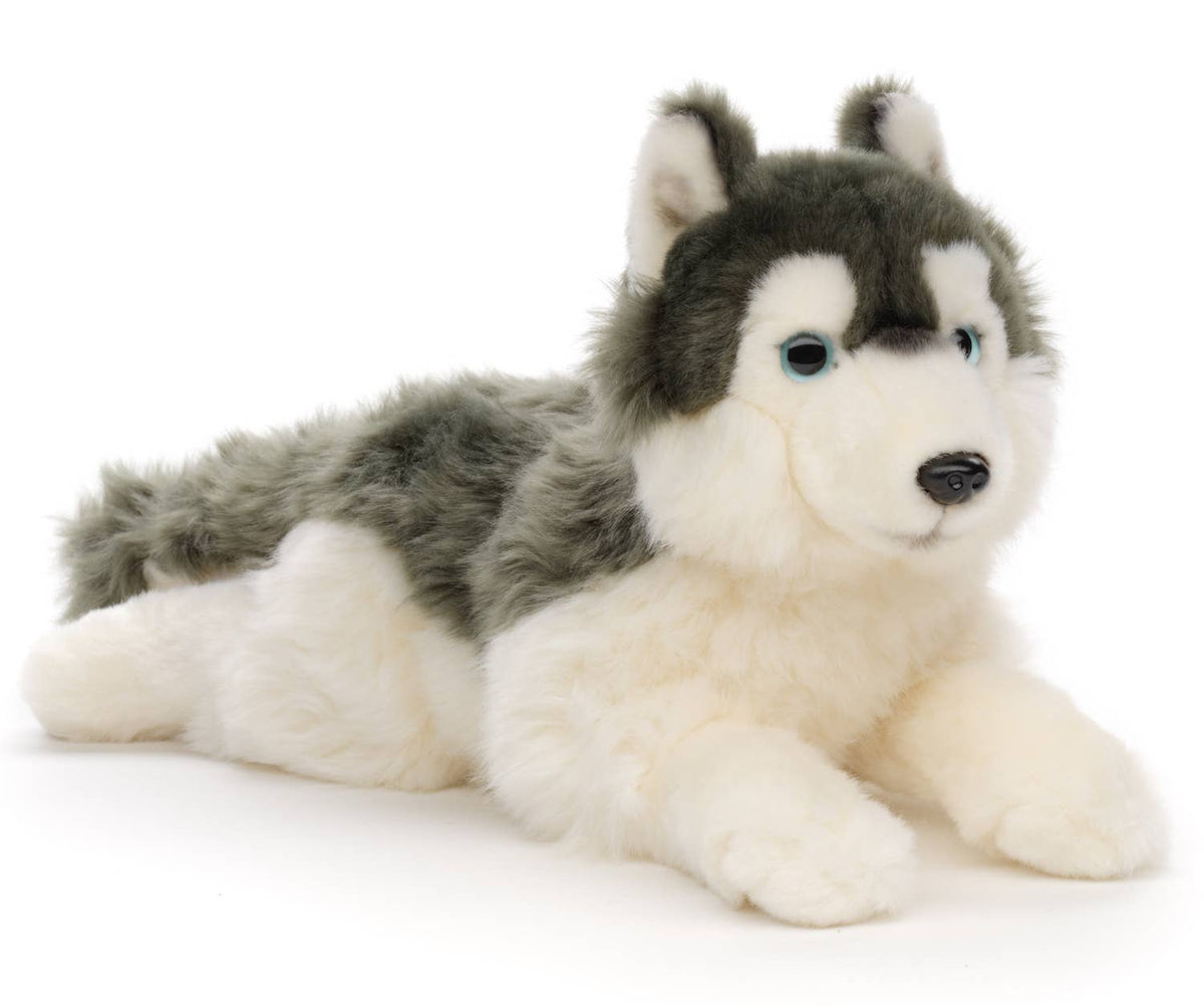 Peluche Husky gris, couché - 38 cm (longueur)