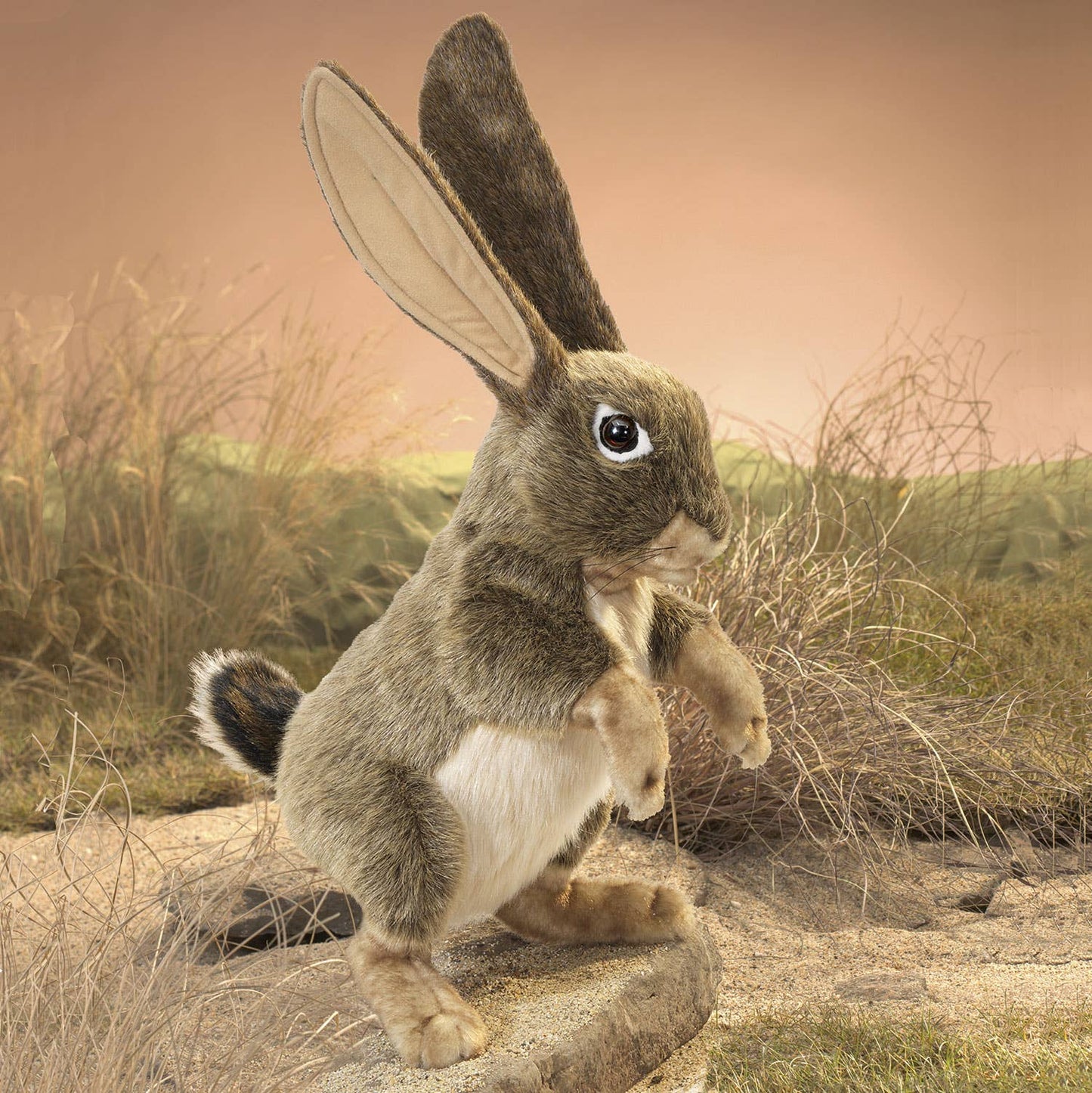 Marionnette à main Liève/Jack Rabbit 3200 Folkmanis réaliste