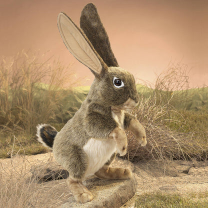 Marionnette à main Liève/Jack Rabbit 3200 Folkmanis réaliste