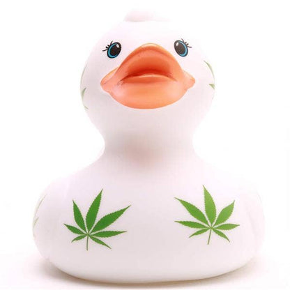 Hoja de cáñamo de pato