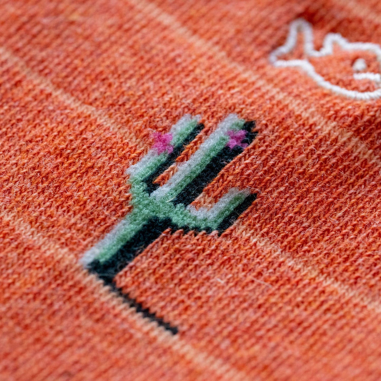 Calcetines de cactus